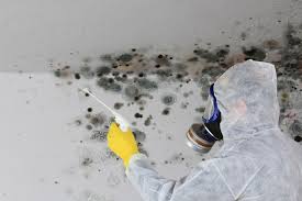 Best Attic Mold Removal in Billington Heights, NY